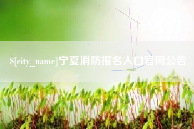 泰州宁夏消防报名入口官网公告