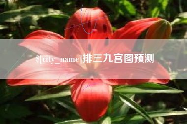 泰州排三九宫图预测