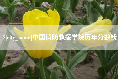 泰州中国消防救援学院历年分数线