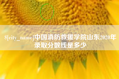 泰州中国消防救援学院山东2020年录取分数线是多少