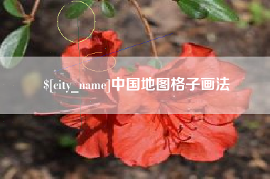 泰州中国地图格子画法