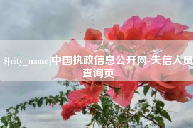 泰州中国执政信息公开网-失信人员查询页