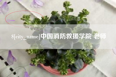 泰州中国消防救援学院 老师