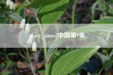 泰州中国第9金
