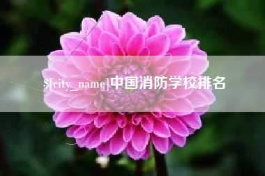 泰州中国消防学校排名