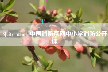 泰州中国消防官网中小学消防公开课