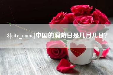 泰州中国的消防日是几月几日？