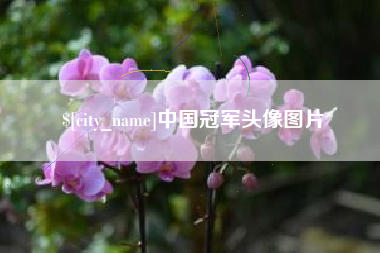 泰州中国冠军头像图片