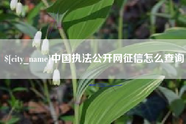 泰州中国执法公开网征信怎么查询