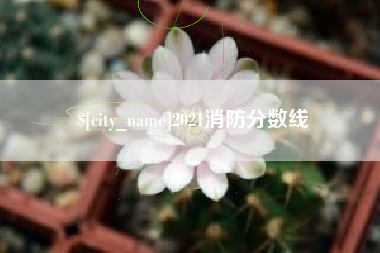 泰州2021消防分数线