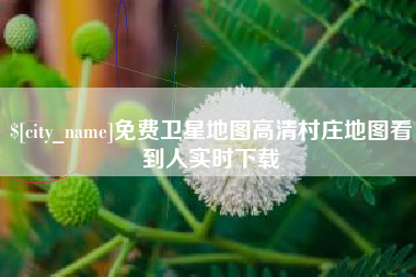 泰州免费卫星地图高清村庄地图看到人实时下载