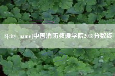 泰州中国消防救援学院2018分数线