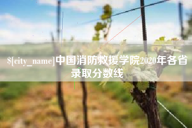 泰州中国消防救援学院2020年各省录取分数线