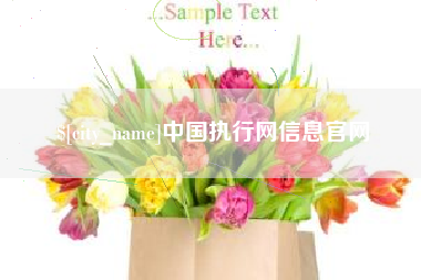 泰州中国执行网信息官网