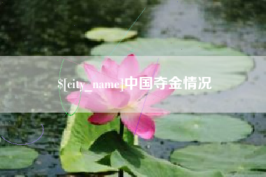 泰州中国夺金情况
