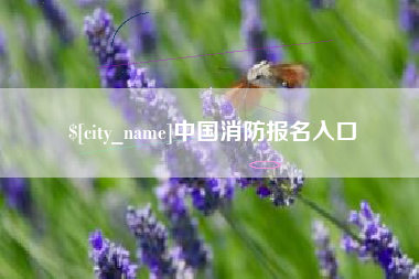 泰州中国消防报名入口
