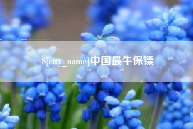 泰州中国最牛保镖