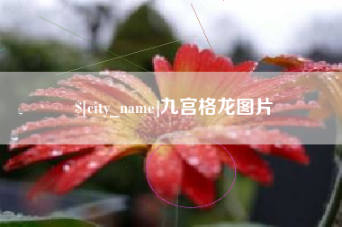 泰州九宫格龙图片