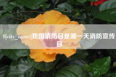 泰州我国消防日是哪一天消防宣传日
