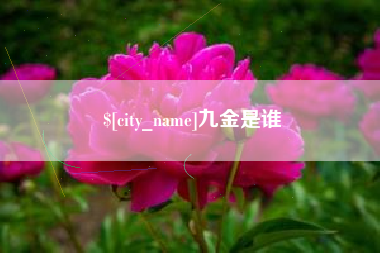 泰州九金是谁