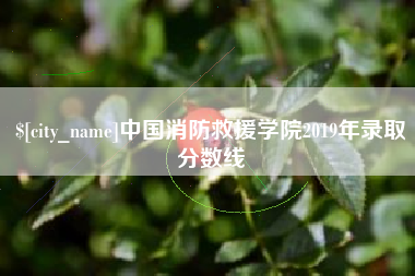泰州中国消防救援学院2019年录取分数线