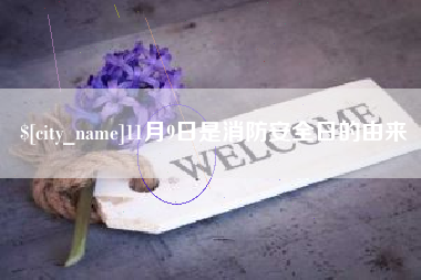 泰州11月9日是消防安全日的由来