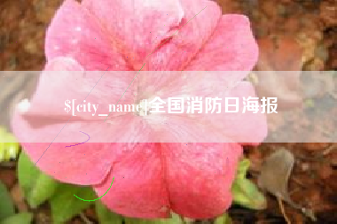 泰州全国消防日海报