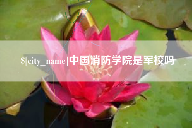 泰州中国消防学院是军校吗