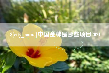 泰州中国金牌是哪些项目2021