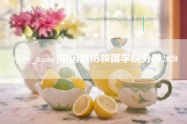 泰州中国消防救援学院分数2020