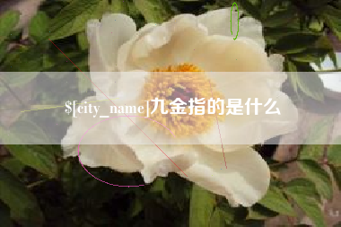 泰州九金指的是什么