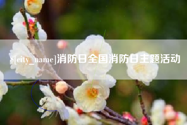 泰州消防日全国消防日主题活动