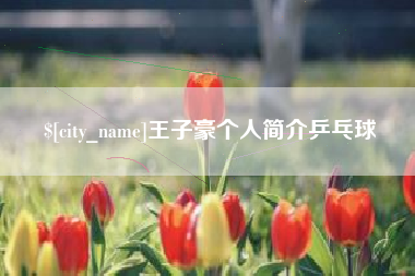 泰州王子豪个人简介乒乓球