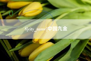 泰州中国九金