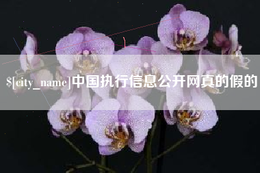泰州中国执行信息公开网真的假的
