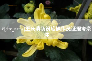 泰州重庆消防设施操作员证报考条件
