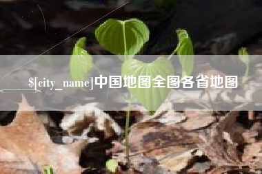 泰州中国地图全图各省地图