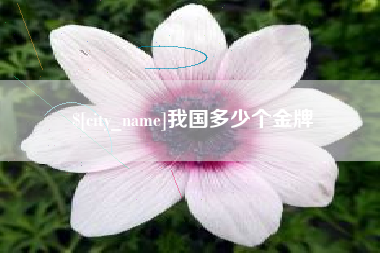 泰州我国多少个金牌