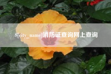 泰州消防证查询网上查询