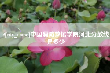 泰州中国消防救援学院河北分数线是多少