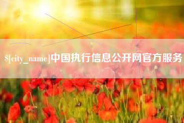 泰州中国执行信息公开网官方服务