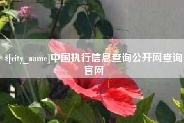 泰州中国执行信息查询公开网查询官网