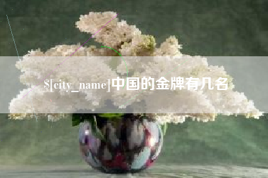 泰州中国的金牌有几名