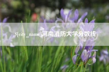 泰州河南消防大学分数线