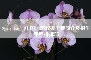泰州中国消防救援学院简介及招生章程指挥部