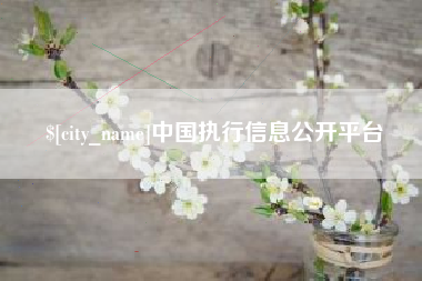 泰州中国执行信息公开平台
