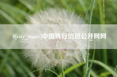 泰州中国执行信息公开网网