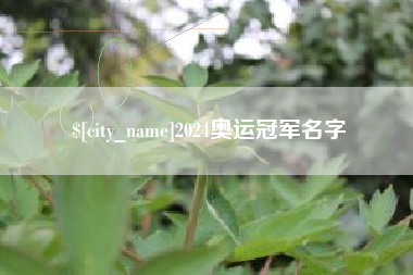 泰州2024奥运冠军名字