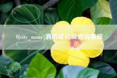 泰州消防证初级查询系统