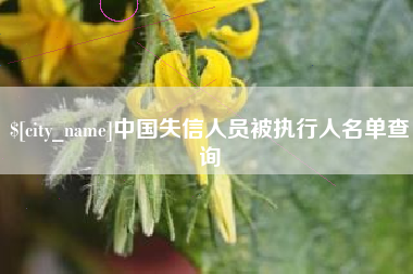 泰州中国失信人员被执行人名单查询